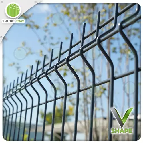 คลองหลวง ปทุม10