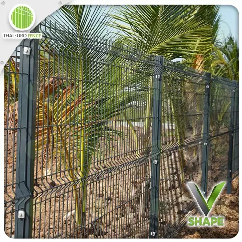 คลองหลวง ปทุม12