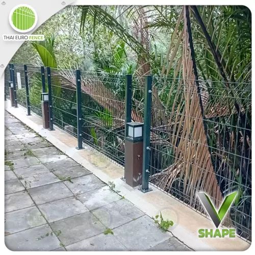 ฉะเทริงเทรา04