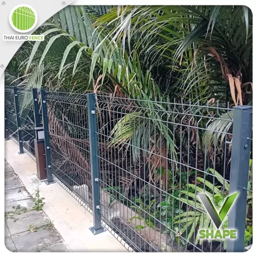 ฉะเทริงเทรา07