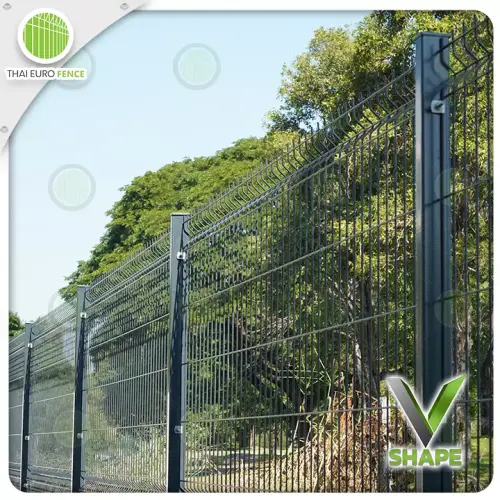 ปทุมบางคูลัด18_12_67_05