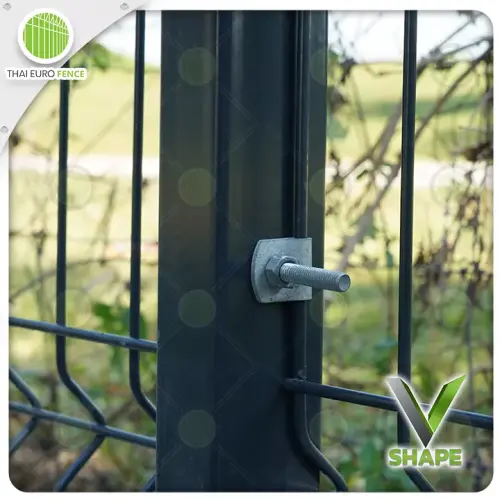 ปทุมบางคูลัด18_12_67_07