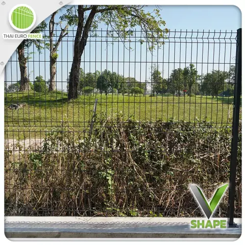 ปทุมบางคูลัด18_12_67_09