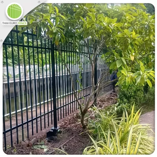 ศรีณครินทร์_9_6_68_03