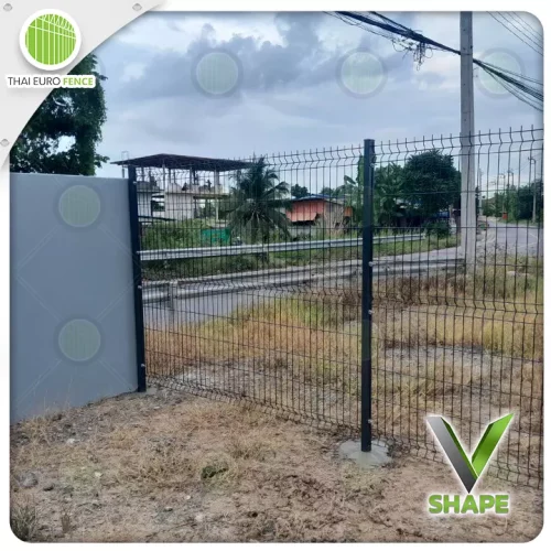 ส้มเกลี้ยง06